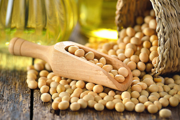 10000+规模！SMM CCIE铜产业博览会即将召开