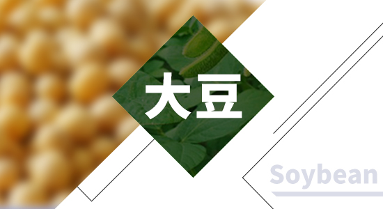 CFTC：截止4月12日当周CBOT玉米期货持仓报告