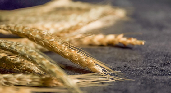 CBOT小麦期货5月5日收盘报价